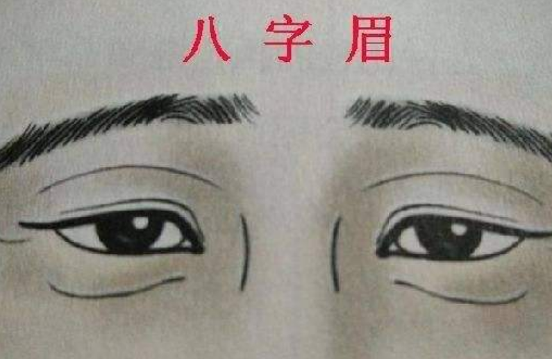 八字眉是什么样子的(俗语“男怕八字眉，女怕弯鼻眉，)