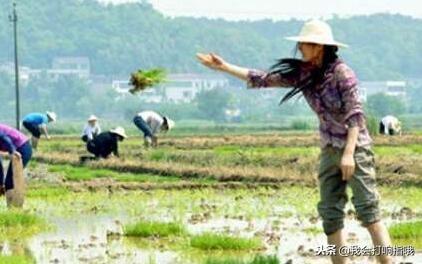 梦见鱼从水里跳出来(男士梦见了甲鱼，表示你最近的生意将会比较顺利，不要急躁)