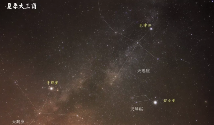 织女星位于哪个星座(为什么说七夕节是乞巧节？)